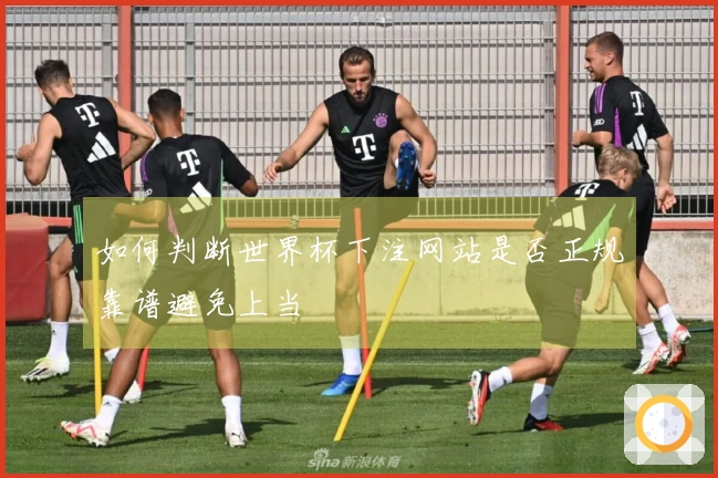 如何判断世界杯下注网站是否正规靠谱避免上当
