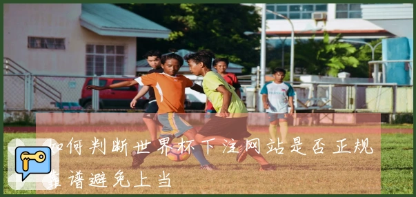 如何判断世界杯下注网站是否正规靠谱避免上当
